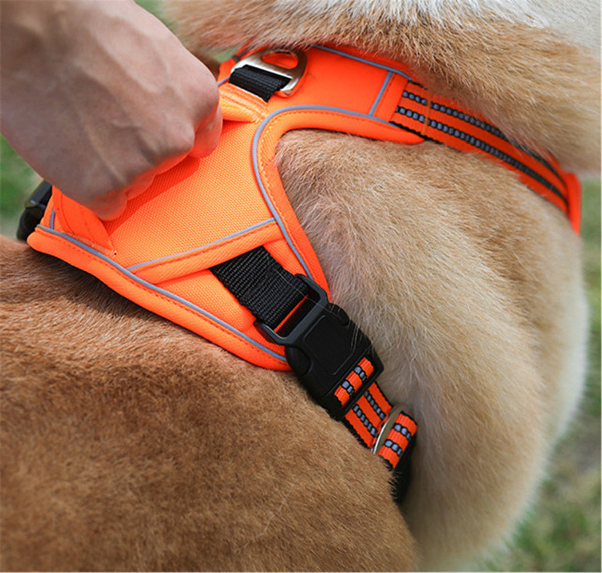 Arnés impermeable y resistente para perros con asa vertical.